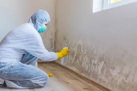  Minier, IL Mold Removal Pros