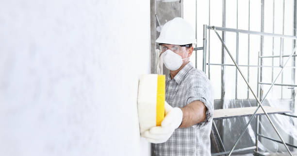 Best Basement Mold Removal in Minier, IL