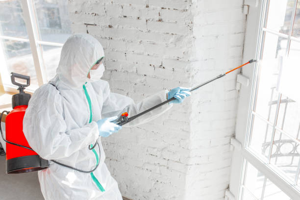 Best Residential Mold Inspection & Testing in Minier, IL